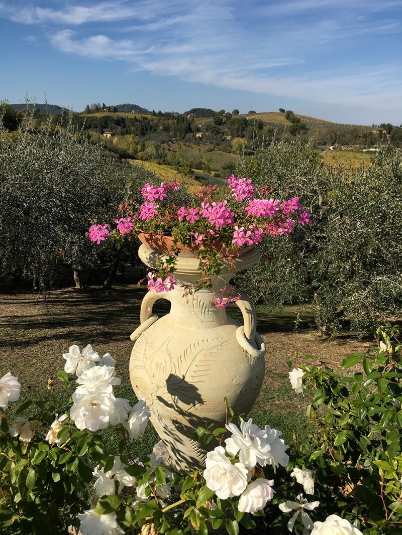 campagna-toscana