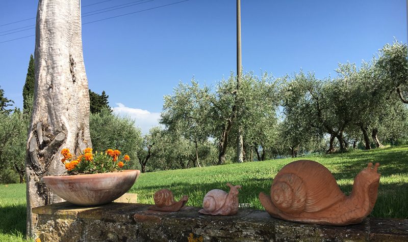 TUSCANY-GARDEN